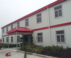 T式豪華彩鋼四坡五脊房 (3)